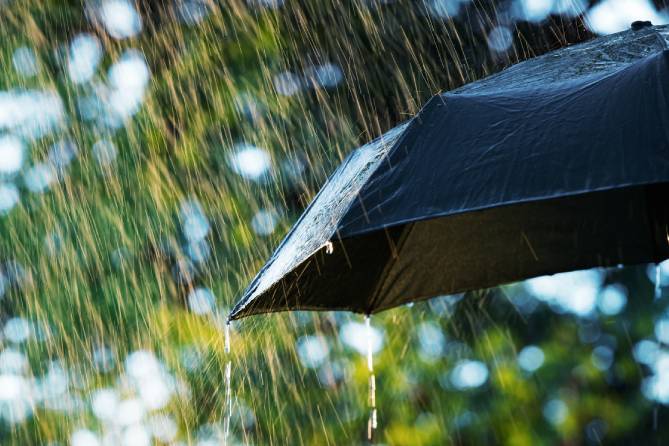 Commercial Umbrella Insurance